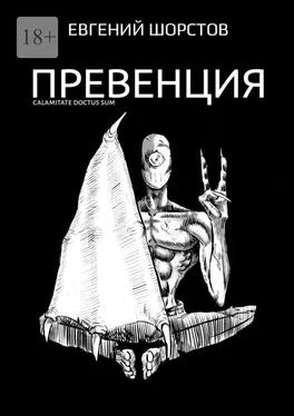 Евгений Шорстов Превенция обложка книги