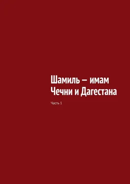 Муслим Мурдалов Шамиль – имам Чечни и Дагестана. Часть 1 обложка книги