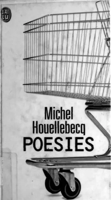 Michel Houellebecq LE SENS DU COMBAT I Le jour monte et grandit retombe - фото 1