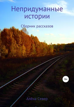 Алёна Север Непридуманные истории обложка книги