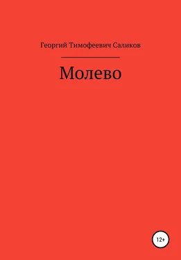 Георгий Саликов Молево обложка книги