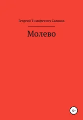 Георгий Саликов - Молево