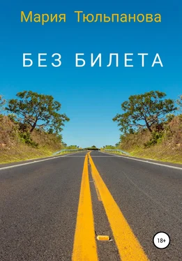 Мария Тюльпанова Без билета обложка книги