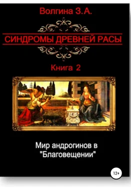 Зинаида Волгина Мир андрогинов в «Благовещении» обложка книги