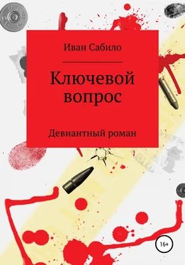 Иван Сабило Ключевой вопрос обложка книги