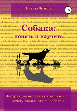 Никита Лымарь Собака: понять и научить обложка книги