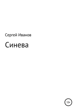 Сергей Иванов Синева обложка книги