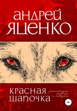 Андрей Яценко Красная Шапочка обложка книги