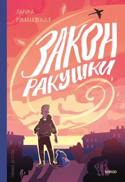 Лариса Романовская Закон ракушки обложка книги