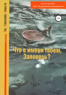 Array АНО «За духовное возрождение» Что в имени твоем, Заповедь?