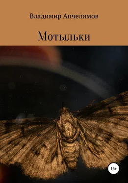 Владимир Апчелимов Мотыльки обложка книги