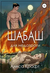 Алиса Крафт - Шабаш для недотроги