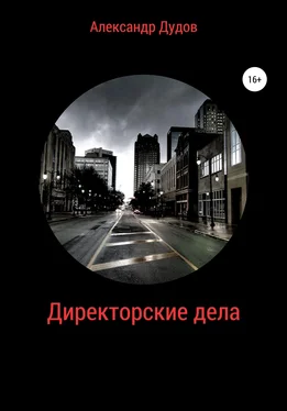 Александр Дудов Директорские дела обложка книги