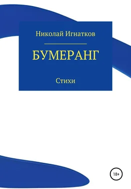 Николай Игнатков Бумеранг обложка книги