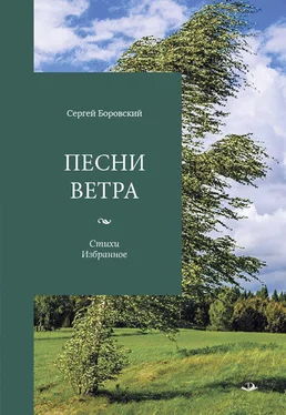 Сергей Боровский Песни ветра обложка книги