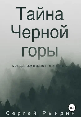 Сергей Рындин Тайна Черной горы обложка книги