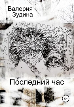 Валерия Зудина Последний час обложка книги