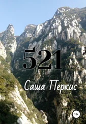 Саша Перкис - 521