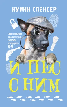Спенсер Куинн И пес с ним обложка книги