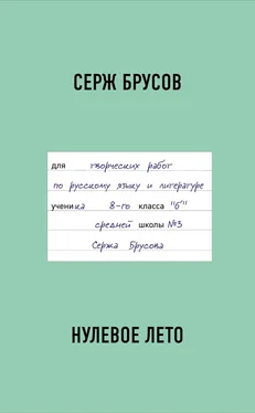 Серж Брусов Нулевое лето обложка книги