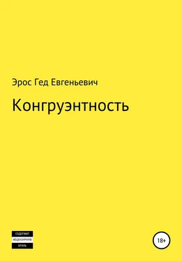 Эрос Евгеньевич Конгруэнтность обложка книги