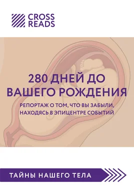 Полина Крыжевич Саммари книги «280 дней до вашего рождения. Репортаж о том, что вы забыли, находясь в эпицентре событий» обложка книги