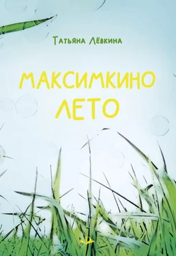 Татьяна Лёвкина Максимкино лето обложка книги