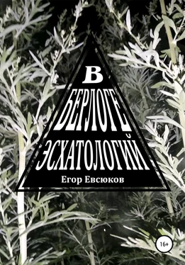 Егор Евсюков В берлоге эсхатологий обложка книги