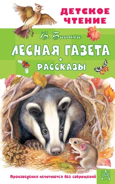 Виталий Бианки Лесная газета. Рассказы обложка книги