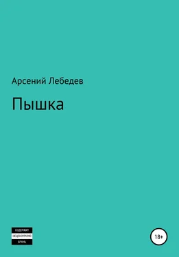 Арсений Лебедев Пышка обложка книги