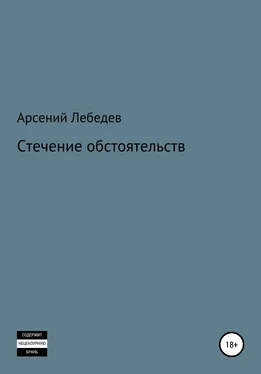 Арсений Лебедев Стечение обстоятельств обложка книги