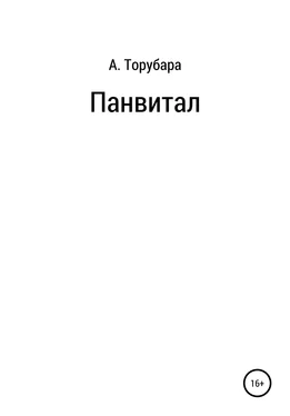 Александр Торубара Панвитал обложка книги