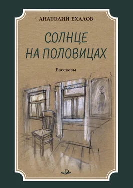 Анатолий Ехалов Солнце на половицах обложка книги