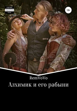 RemVoVo Алхимик и его рабыни обложка книги