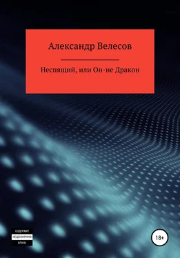 Александр Велесов Неспящий, или Он-не Дракон обложка книги