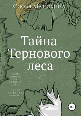 Софья Матюхина Тайна тернового леса обложка книги