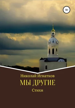 Николай Игнатков Мы другие обложка книги