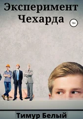 Тимур Белый - Эксперимент «Чехарда»