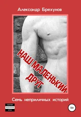 Александр Брехунов - Наш маленький друг. Семь неприличных историй