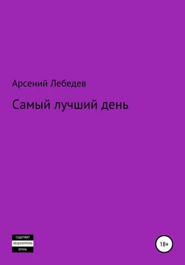 Арсений Лебедев Самый лучший день обложка книги