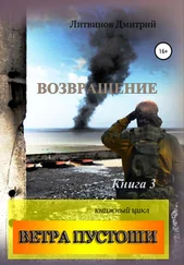 Дмитрий Литвинов - Ветра Пустоши. Книга 3. Возвращение