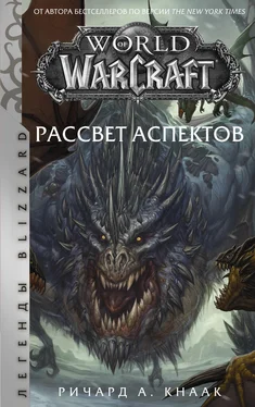 Ричард Кнаак World of Warcraft. Рассвет Аспектов обложка книги