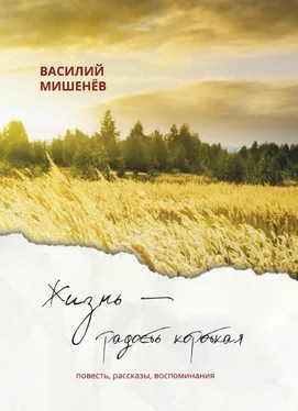 Василий Мишенёв Жизнь – радость короткая обложка книги