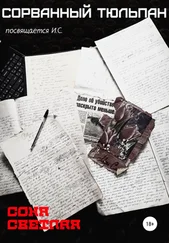 Соня Светлая - Сорванный тюльпан