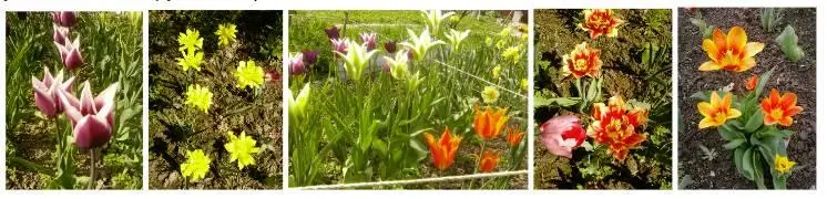 Глава 3 Воспоминания о моей жизни 13 Марта 2011 года Добрые людижители - фото 6