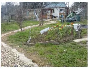 дорожка в клубнике дорожки с геотекстилем Начали Сначала трактором сместили - фото 8