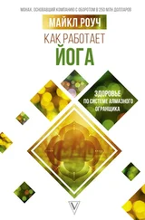 Майкл Роуч - Как работает йога - здоровье по системе Алмазного Огранщика