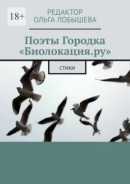 Сергей Лобышев Поэты Городка «Биолокация.ру». Стихи обложка книги