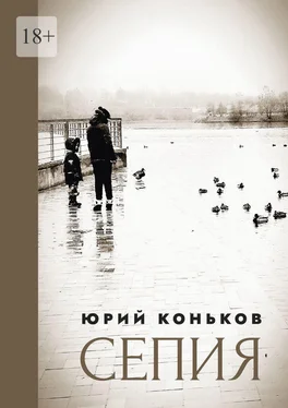 Юрий Коньков Сепия обложка книги