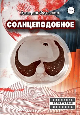 Дмитрий Федечкин Солнцеподобное обложка книги